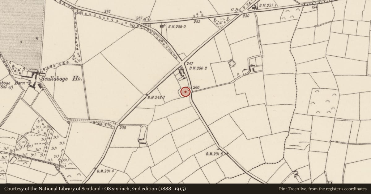 Ordnance Survey six-inch map, 2nd edition (1888–1915) covering the location of Ringfort - rath, Scullaboge, County Wexford, with a pin at the register's coordinates