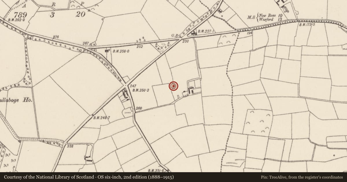 Ordnance Survey six-inch map, 2nd edition (1888–1915) covering the location of Ringfort - rath, Scullaboge, County Wexford, with a pin at the register's coordinates