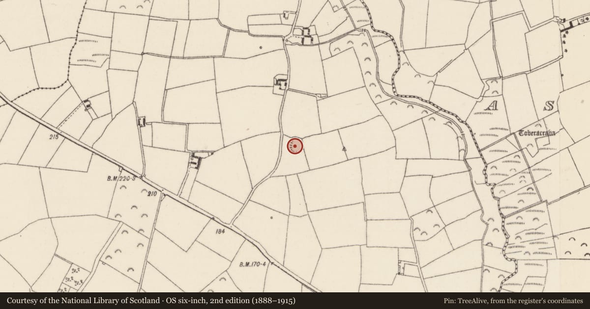 Ordnance Survey six-inch map, 2nd edition (1888–1915) covering the location of Ringfort - rath, Ballyclemock, County Wexford, with a pin at the register's coordinates