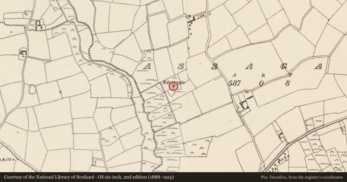 Ordnance Survey six-inch map, 2nd edition (1888–1915) covering the location of Ritual site - holy well, Assagart, County Wexford, with a pin at the register's coordinates