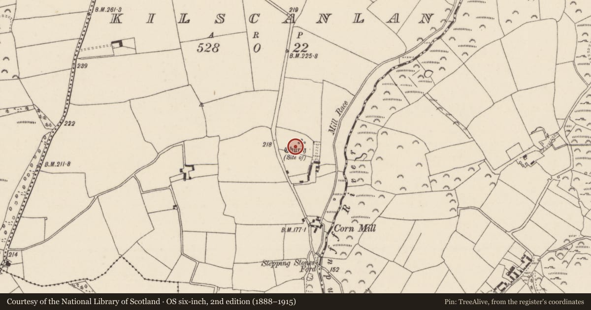 Ordnance Survey six-inch map, 2nd edition (1888–1915) covering the location of Church, Kilscanlan, County Wexford, with a pin at the register's coordinates