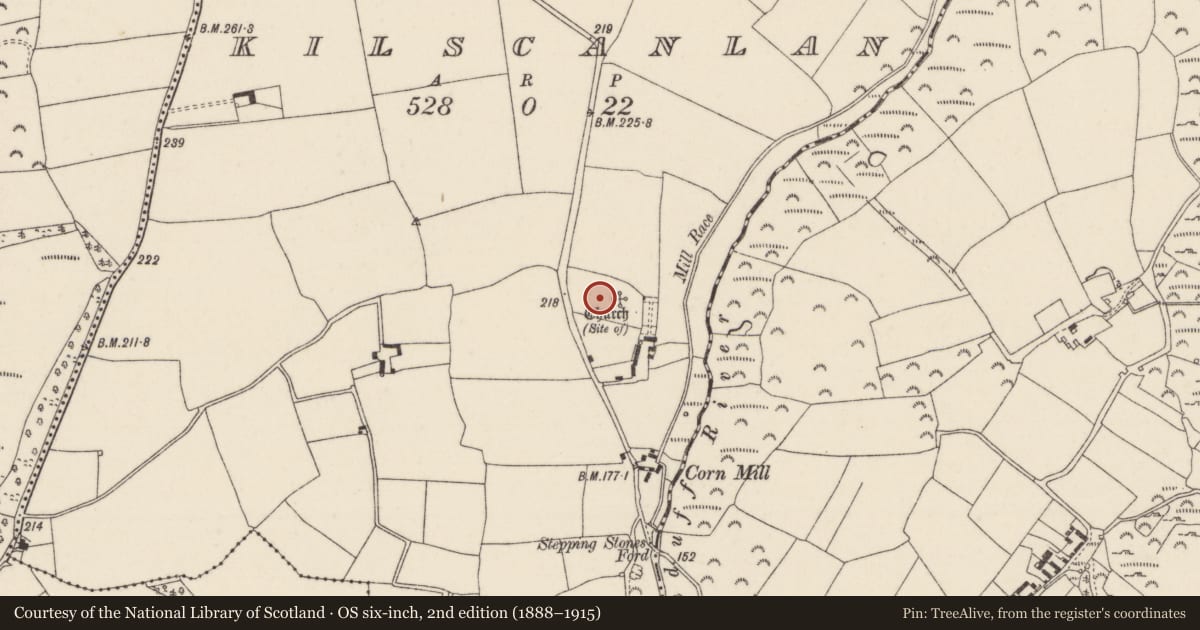 Ordnance Survey six-inch map, 2nd edition (1888–1915) covering the location of Graveyard, Kilscanlan, County Wexford, with a pin at the register's coordinates
