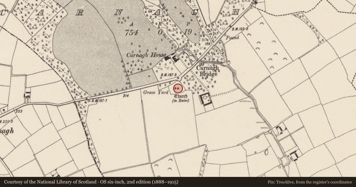 Ordnance Survey six-inch map, 2nd edition (1888–1915) covering the location of Graveyard, Carnagh, County Wexford, with a pin at the register's coordinates