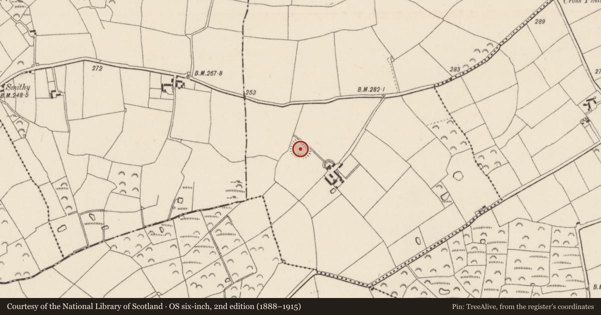 Ordnance Survey six-inch map, 2nd edition (1888–1915) covering the location of Ringfort - rath, Brownstown, County Wexford, with a pin at the register's coordinates