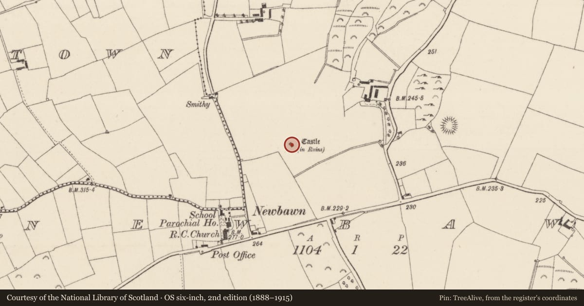 Ordnance Survey six-inch map, 2nd edition (1888–1915) covering the location of Castle - tower house, Newbawn, County Wexford, with a pin at the register's coordinates