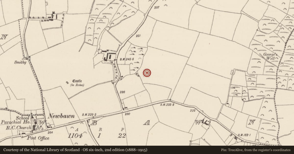 Ordnance Survey six-inch map, 2nd edition (1888–1915) covering the location of Ringfort - rath, Newbawn, County Wexford, with a pin at the register's coordinates