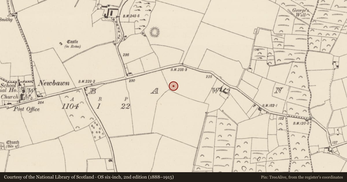 Ordnance Survey six-inch map, 2nd edition (1888–1915) covering the location of Moated site, Newbawn, County Wexford, with a pin at the register's coordinates