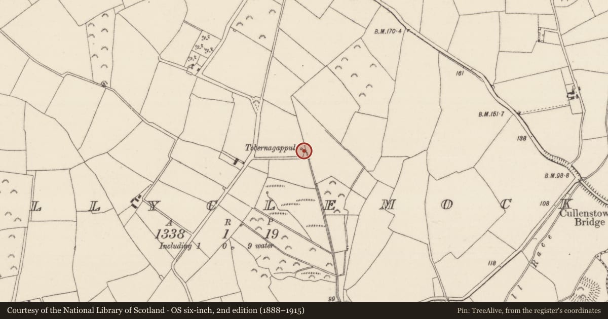Ordnance Survey six-inch map, 2nd edition (1888–1915) covering the location of Well, Ballyclemock, County Wexford, with a pin at the register's coordinates