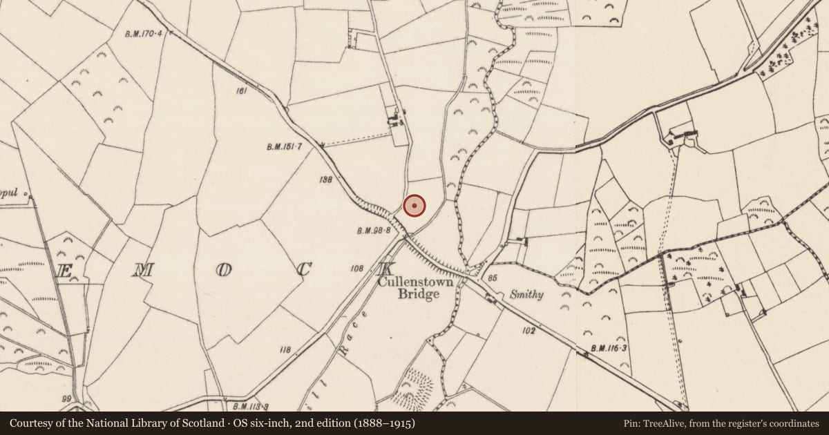 Ordnance Survey six-inch map, 2nd edition (1888–1915) covering the location of Ringfort - rath, Ballyclemock, County Wexford, with a pin at the register's coordinates