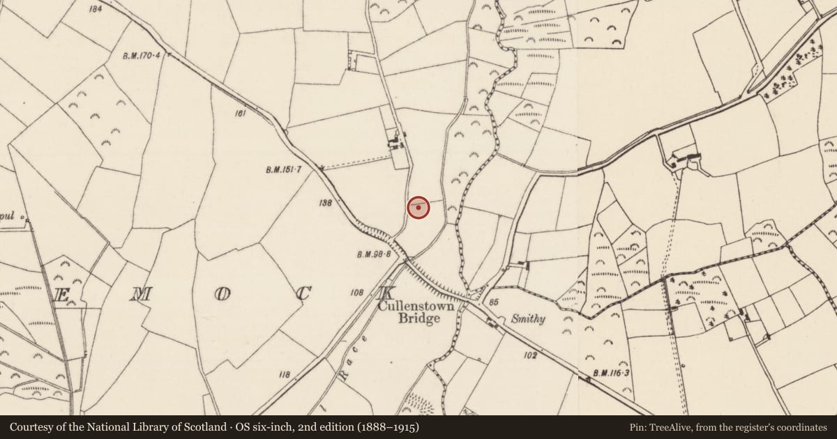 Ordnance Survey six-inch map, 2nd edition (1888–1915) covering the location of Ringfort - rath, Ballyclemock, County Wexford, with a pin at the register's coordinates