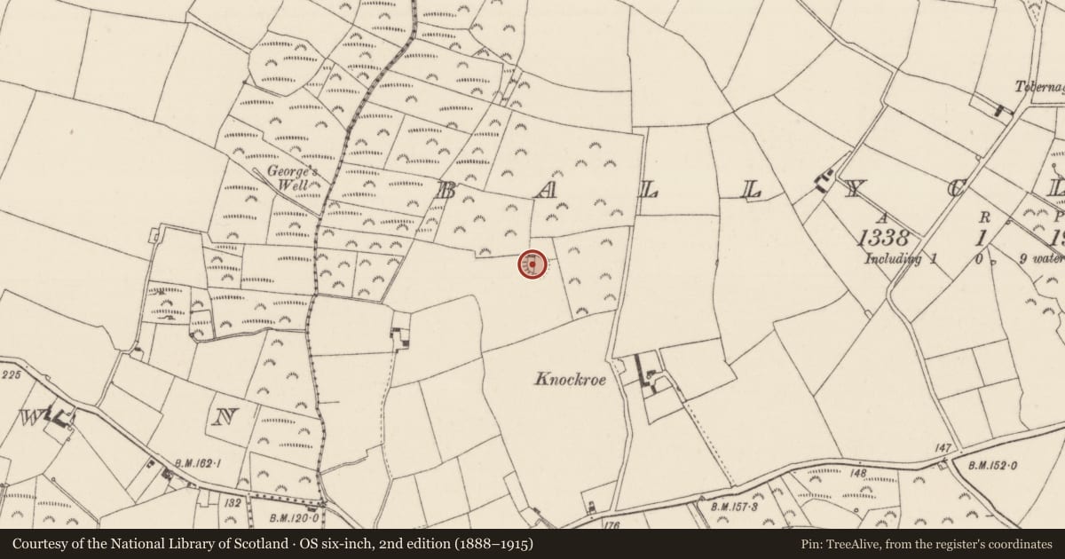 Ordnance Survey six-inch map, 2nd edition (1888–1915) covering the location of Ringfort - rath, Ballyclemock, County Wexford, with a pin at the register's coordinates