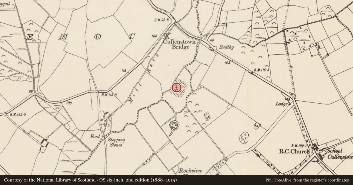Ordnance Survey six-inch map, 2nd edition (1888–1915) covering the location of House - indeterminate date, Ballyclemock, County Wexford, with a pin at the register's coordinates