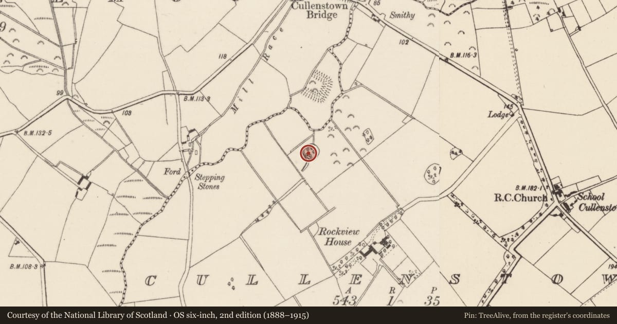 Ordnance Survey six-inch map, 2nd edition (1888–1915) covering the location of Moated site, Cullenstown, County Wexford, with a pin at the register's coordinates