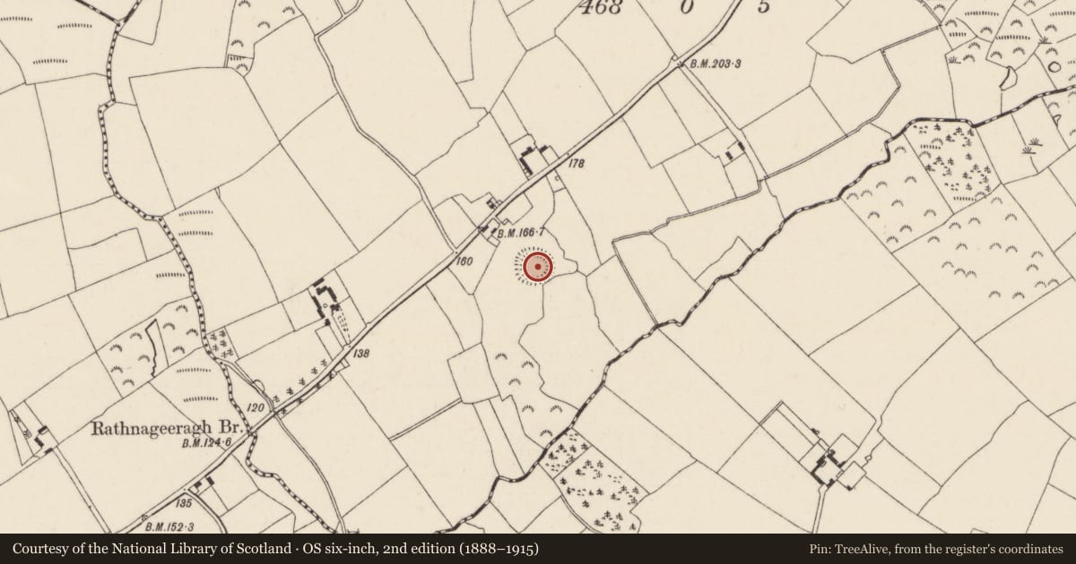 Ordnance Survey six-inch map, 2nd edition (1888–1915) covering the location of Ringfort - rath, Rathnageeragh, County Wexford, with a pin at the register's coordinates