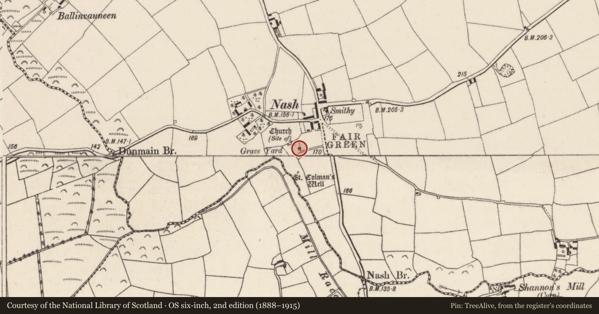 Ordnance Survey six-inch map, 2nd edition (1888–1915) covering the location of Graveyard, Nash, County Wexford, with a pin at the register's coordinates