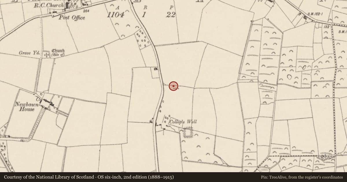 Ordnance Survey six-inch map, 2nd edition (1888–1915) covering the location of Megalithic tomb - portal tomb, Newbawn, County Wexford, with a pin at the register's coordinates