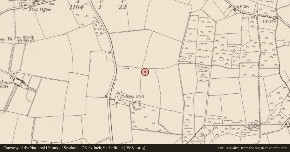 Ordnance Survey six-inch map, 2nd edition (1888–1915) covering the location of Moated site, Newbawn, County Wexford, with a pin at the register's coordinates