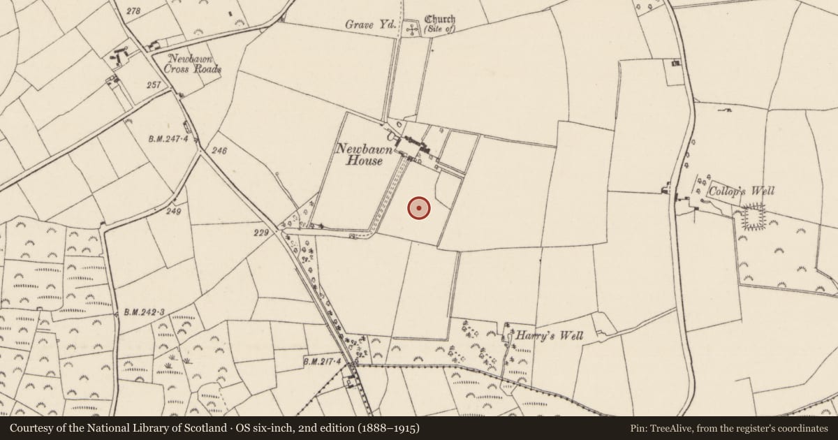 Ordnance Survey six-inch map, 2nd edition (1888–1915) covering the location of Moated site, Newbawn, County Wexford, with a pin at the register's coordinates