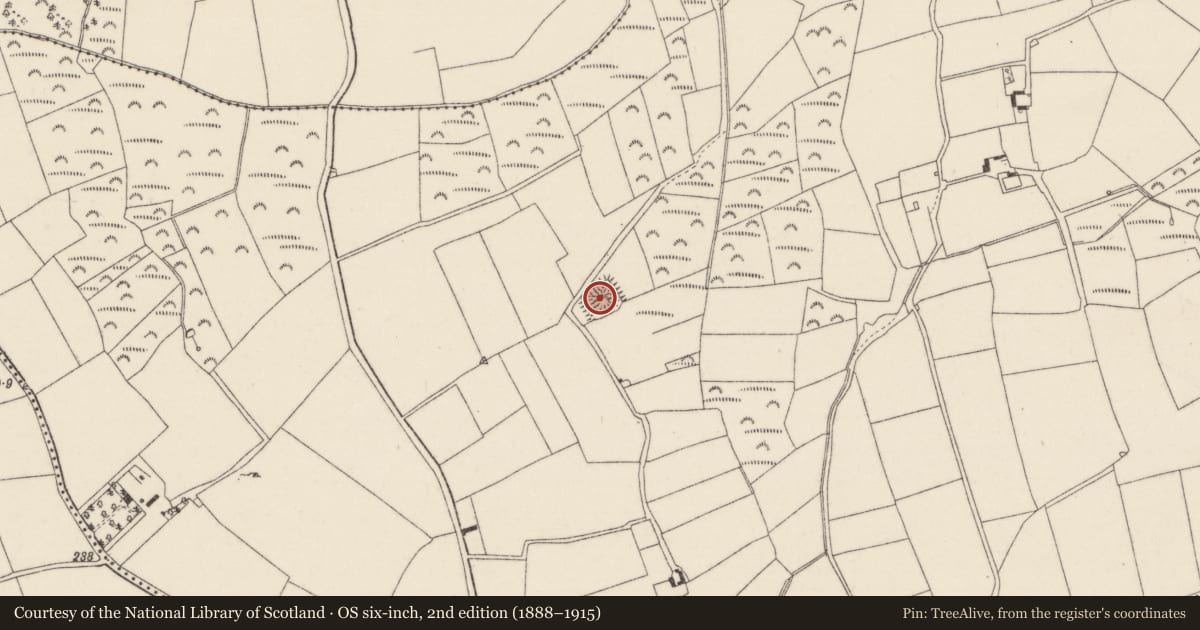 Ordnance Survey six-inch map, 2nd edition (1888–1915) covering the location of Moated site, Newcastle, County Wexford, with a pin at the register's coordinates
