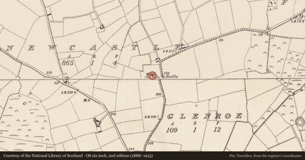 Ordnance Survey six-inch map, 2nd edition (1888–1915) covering the location of Moated site, Newcastle, County Wexford, with a pin at the register's coordinates