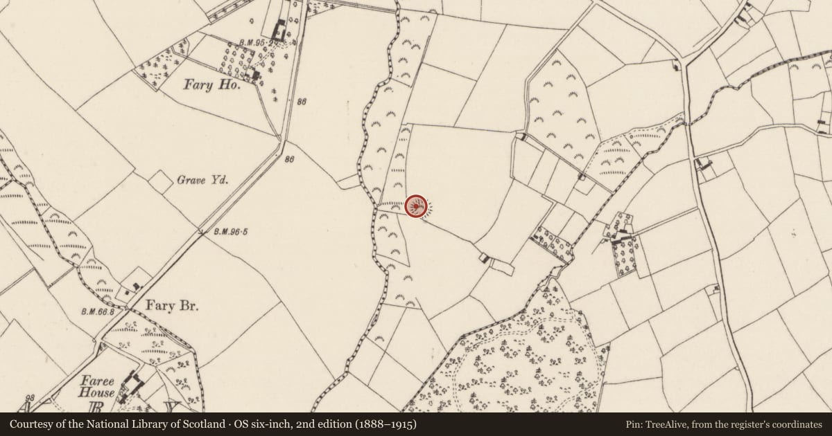 Ordnance Survey six-inch map, 2nd edition (1888–1915) covering the location of Ringfort - rath, Cullenstown, County Wexford, with a pin at the register's coordinates