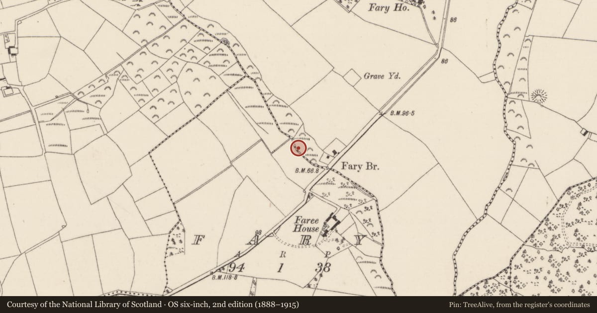 Ordnance Survey six-inch map, 2nd edition (1888–1915) covering the location of Water mill - horizontal-wheeled, Ballyclemock, County Wexford, with a pin at the register's coordinates