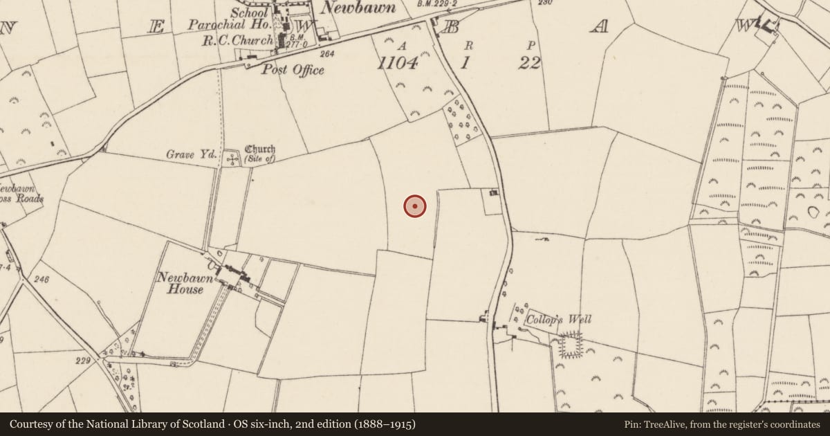 Ordnance Survey six-inch map, 2nd edition (1888–1915) covering the location of Standing stone, Newbawn, County Wexford, with a pin at the register's coordinates
