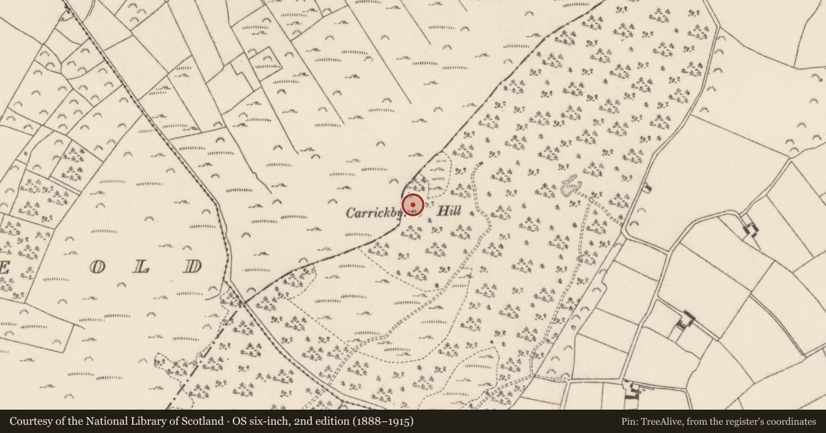 Ordnance Survey six-inch map, 2nd edition (1888–1915) covering the location of Standing stone, Scullaboge, County Wexford, with a pin at the register's coordinates