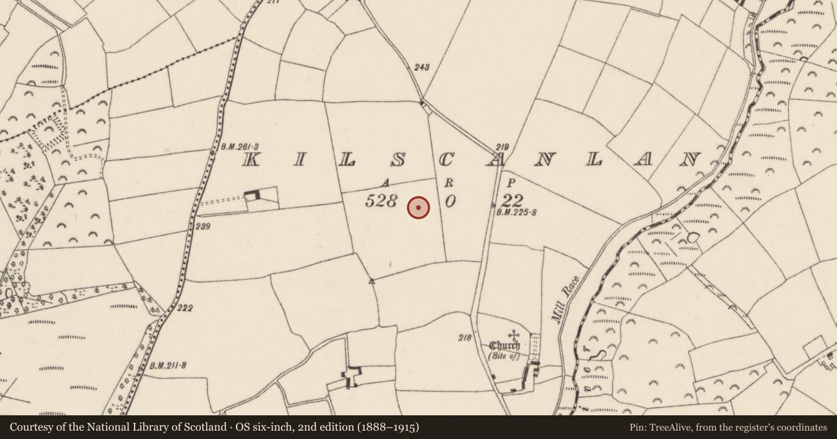Ordnance Survey six-inch map, 2nd edition (1888–1915) covering the location of Ringfort - rath, Kilscanlan, County Wexford, with a pin at the register's coordinates