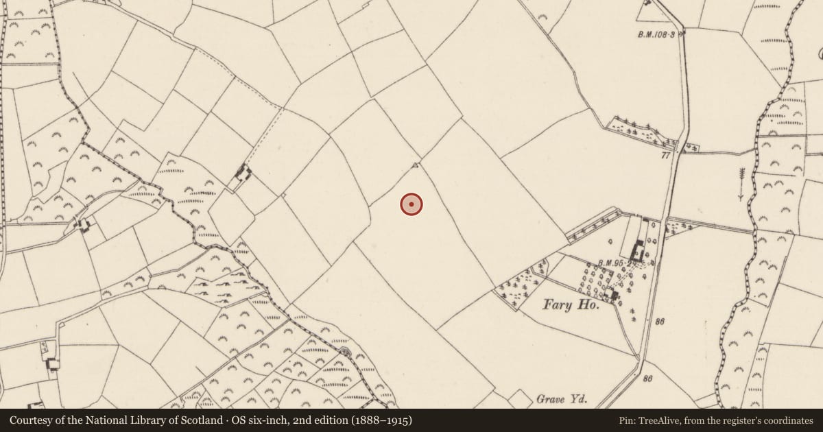 Ordnance Survey six-inch map, 2nd edition (1888–1915) covering the location of Ringfort - rath, Ballyclemock, County Wexford, with a pin at the register's coordinates