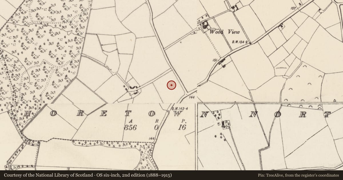 Ordnance Survey six-inch map, 2nd edition (1888–1915) covering the location of Ringfort - rath, Horetown North, County Wexford, with a pin at the register's coordinates