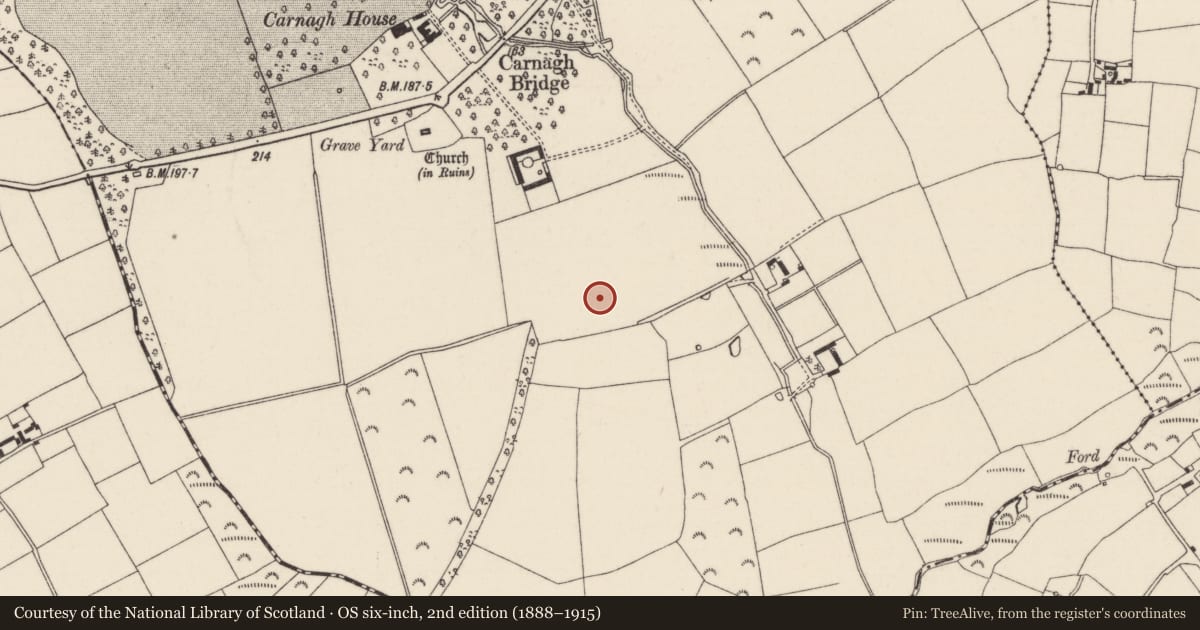 Ordnance Survey six-inch map, 2nd edition (1888–1915) covering the location of Field boundary, Carnagh, County Wexford, with a pin at the register's coordinates