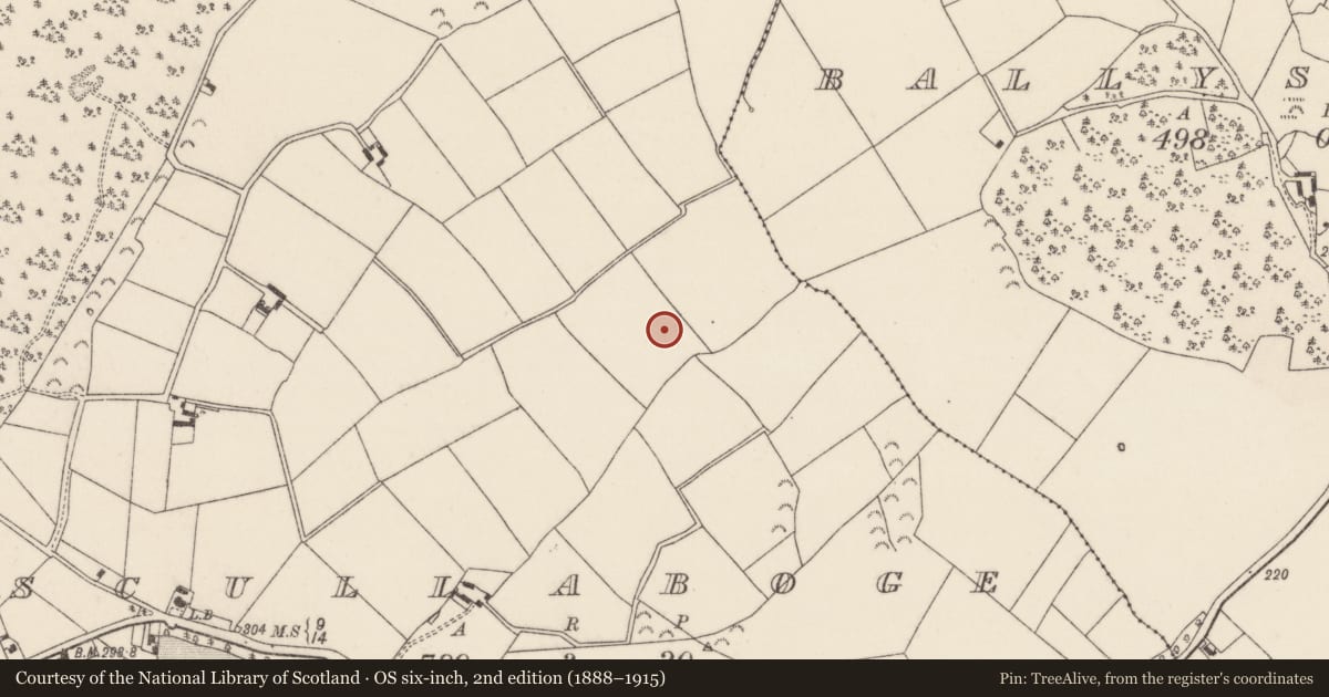 Ordnance Survey six-inch map, 2nd edition (1888–1915) covering the location of Ringfort - rath, Scullaboge, County Wexford, with a pin at the register's coordinates