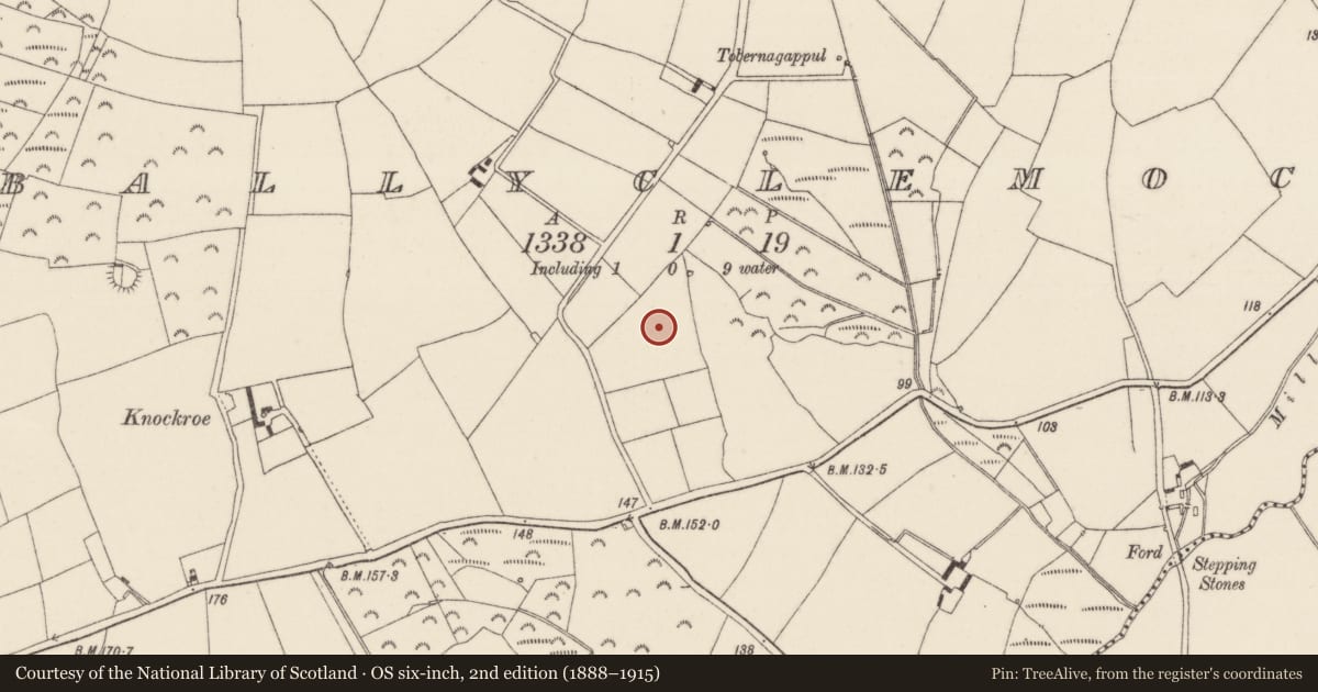 Ordnance Survey six-inch map, 2nd edition (1888–1915) covering the location of Enclosure, Ballyclemock, County Wexford, with a pin at the register's coordinates
