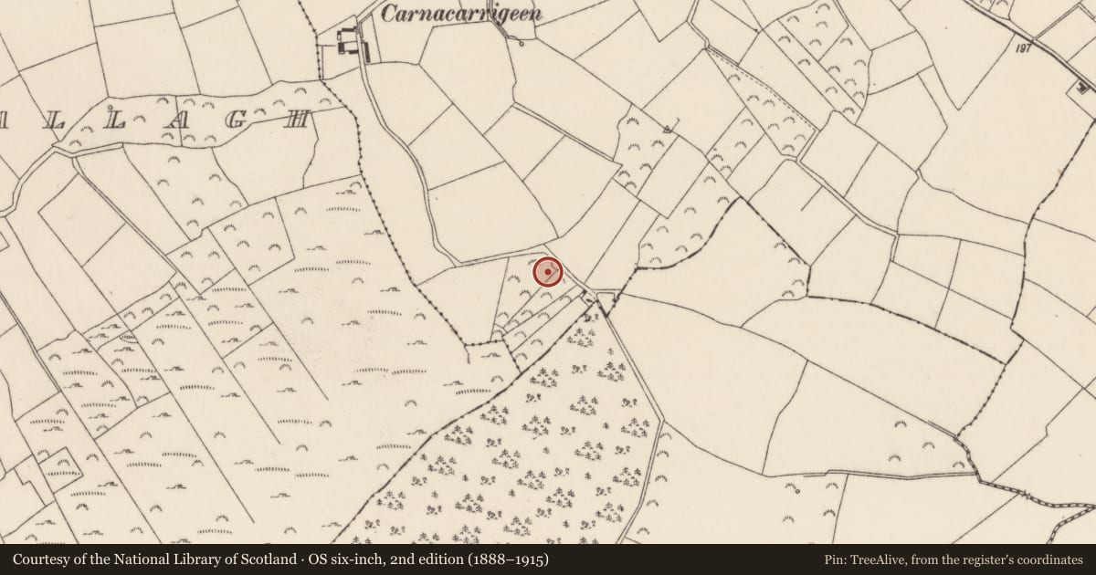 Ordnance Survey six-inch map, 2nd edition (1888–1915) covering the location of Mass-rock, Raheenaclonagh, County Wexford, with a pin at the register's coordinates