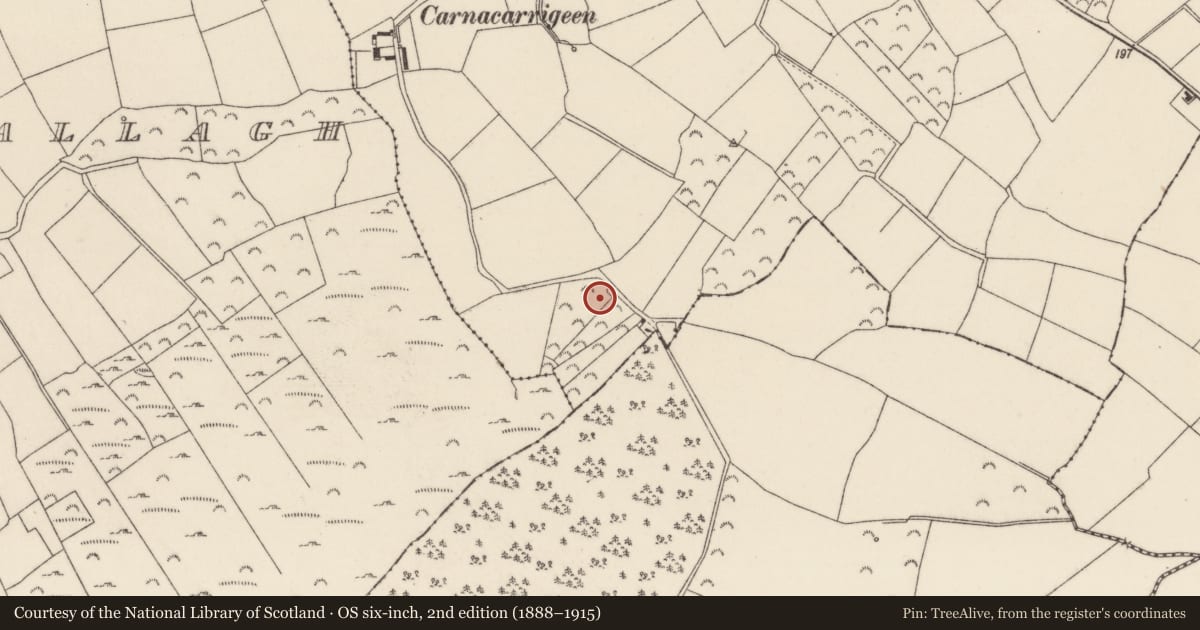 Ordnance Survey six-inch map, 2nd edition (1888–1915) covering the location of Cross, Raheenaclonagh, County Wexford, with a pin at the register's coordinates
