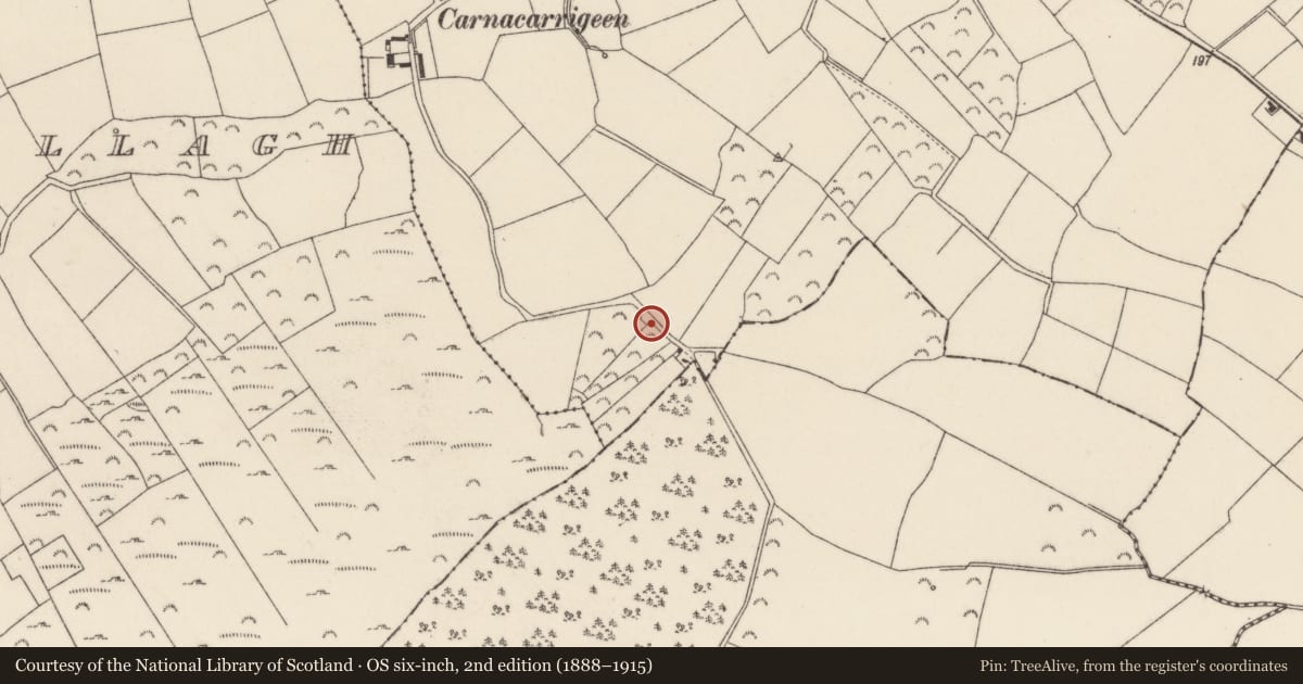 Ordnance Survey six-inch map, 2nd edition (1888–1915) covering the location of Building, Raheenaclonagh, County Wexford, with a pin at the register's coordinates