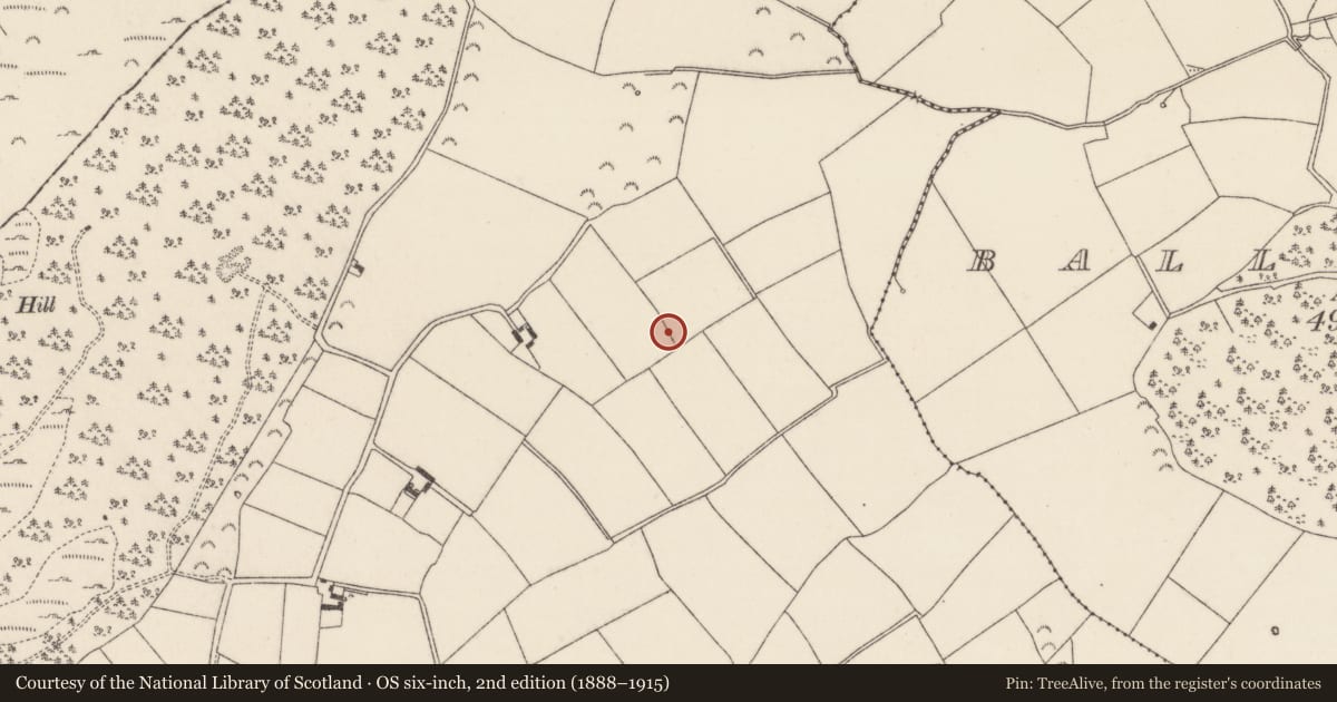 Ordnance Survey six-inch map, 2nd edition (1888–1915) covering the location of Ringfort - rath, Scullaboge, County Wexford, with a pin at the register's coordinates