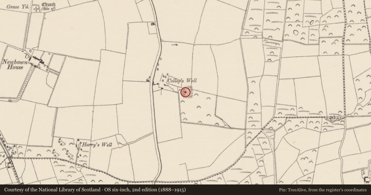 Ordnance Survey six-inch map, 2nd edition (1888–1915) covering the location of Moated site, Newbawn, County Wexford, with a pin at the register's coordinates