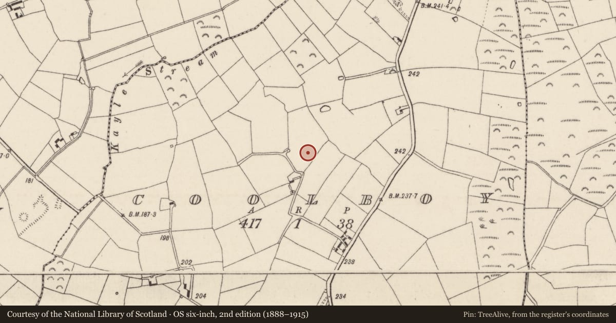 Ordnance Survey six-inch map, 2nd edition (1888–1915) covering the location of Enclosure, Coolboy, County Wexford, with a pin at the register's coordinates