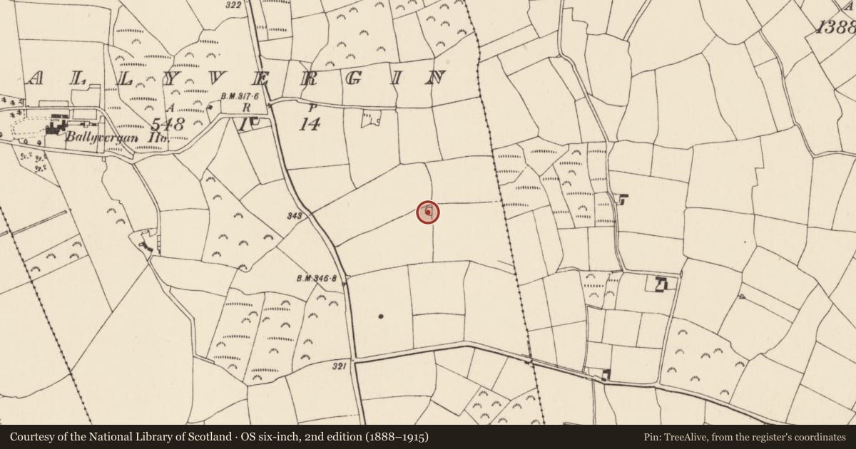 Ordnance Survey six-inch map, 2nd edition (1888–1915) covering the location of Ringfort - rath, Ballyvergin, County Wexford, with a pin at the register's coordinates
