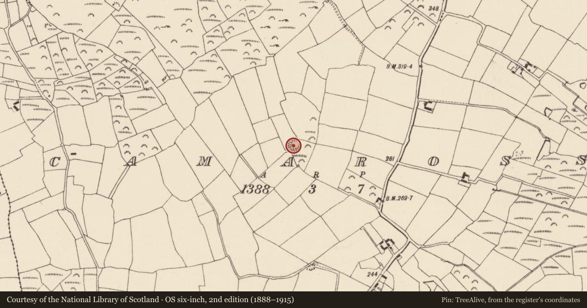 Ordnance Survey six-inch map, 2nd edition (1888–1915) covering the location of Ringfort - unclassified, Camaross, County Wexford, with a pin at the register's coordinates