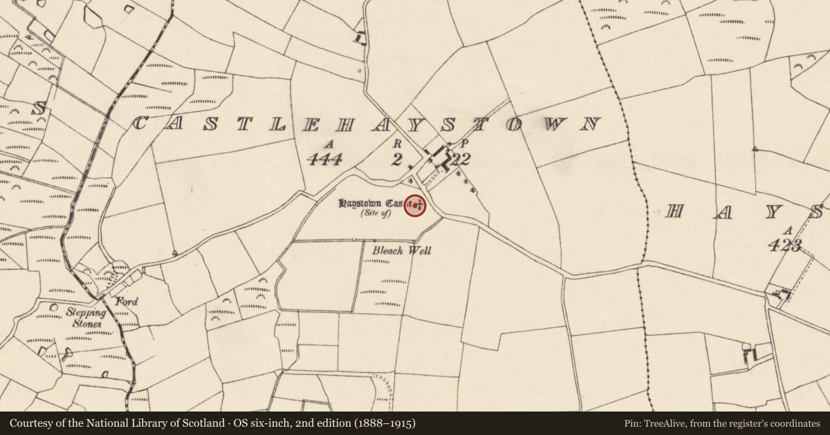 Ordnance Survey six-inch map, 2nd edition (1888–1915) covering the location of Moated site, Castlehaystown, County Wexford, with a pin at the register's coordinates