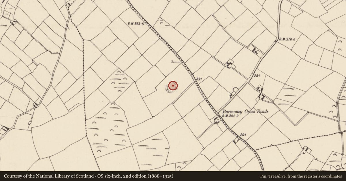 Ordnance Survey six-inch map, 2nd edition (1888–1915) covering the location of Ringfort - rath, Haystown, County Wexford, with a pin at the register's coordinates