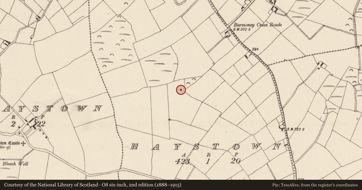 Ordnance Survey six-inch map, 2nd edition (1888–1915) covering the location of Ringfort - unclassified, Haystown, County Wexford, with a pin at the register's coordinates