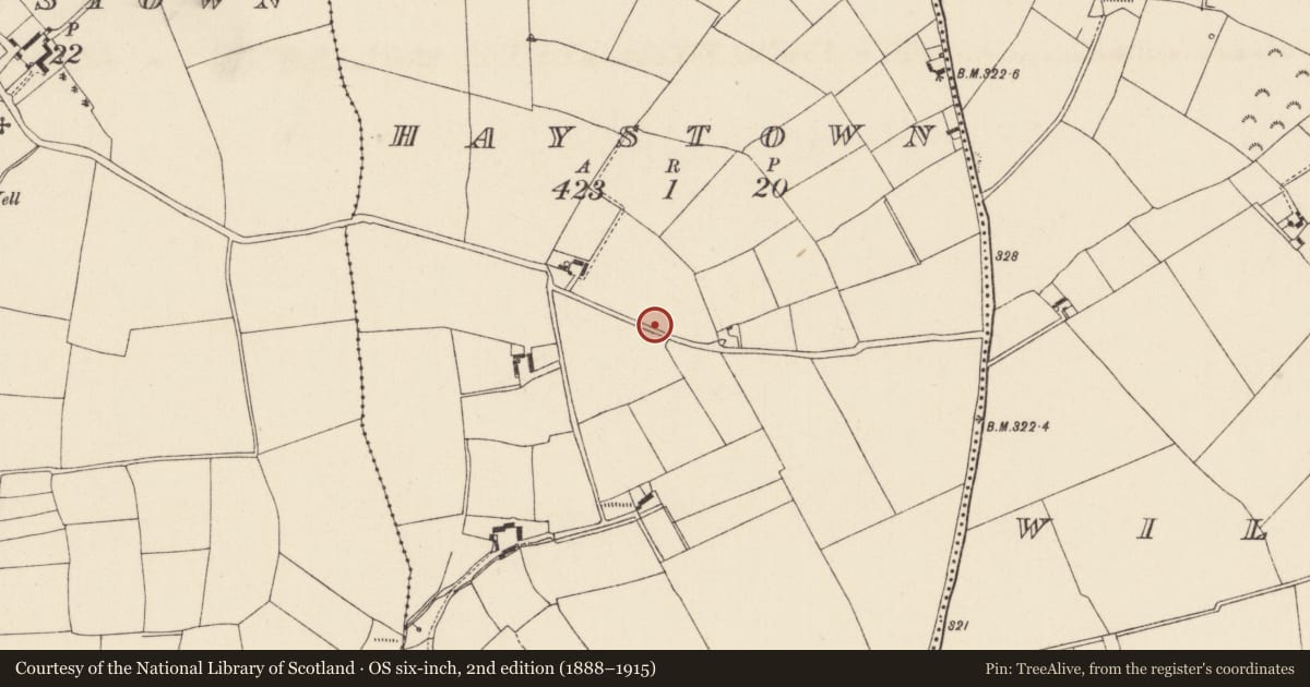 Ordnance Survey six-inch map, 2nd edition (1888–1915) covering the location of Ringfort - unclassified, Haystown, County Wexford, with a pin at the register's coordinates