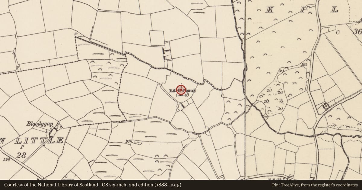Ordnance Survey six-inch map, 2nd edition (1888–1915) covering the location of Church, Bulgan, County Wexford, with a pin at the register's coordinates