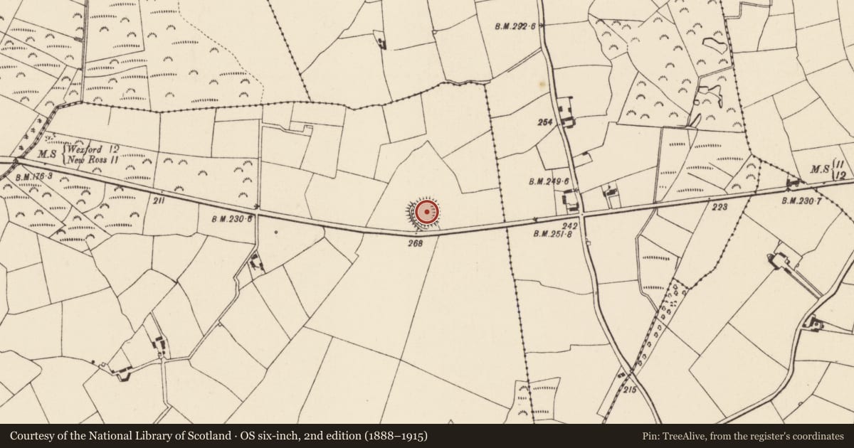Ordnance Survey six-inch map, 2nd edition (1888–1915) covering the location of Ringfort - rath, Assagart, County Wexford, with a pin at the register's coordinates