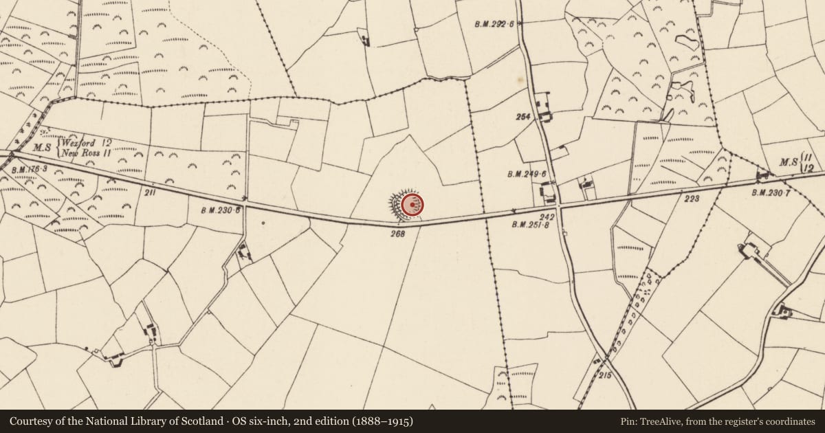 Ordnance Survey six-inch map, 2nd edition (1888–1915) covering the location of Hut site, Assagart, County Wexford, with a pin at the register's coordinates