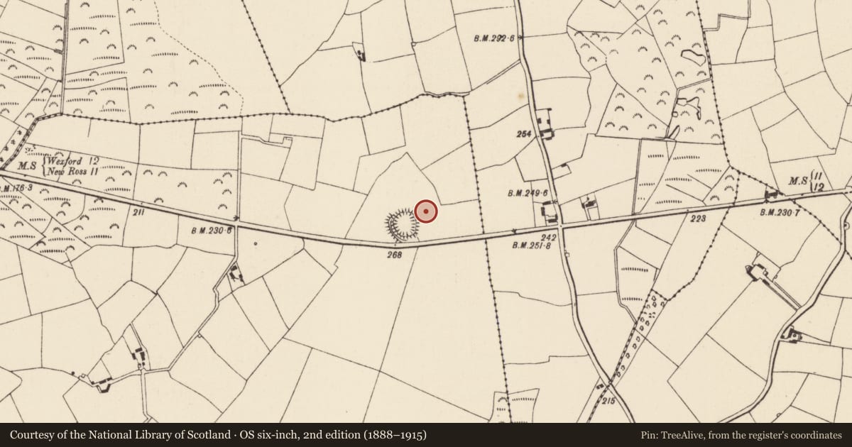 Ordnance Survey six-inch map, 2nd edition (1888–1915) covering the location of Enclosure, Assagart, County Wexford, with a pin at the register's coordinates